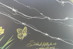 WhatsApp-Image-2026-01-27-at-15.22.36