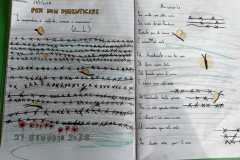 WhatsApp-Image-2026-01-28-at-15.30.15-1