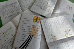 WhatsApp-Image-2026-01-28-at-15.30.15-2