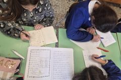 WhatsApp-Image-2026-01-28-at-15.30.24-1