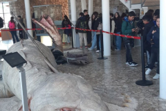 WhatsApp-Image-2026-02-02-at-17.14.11-1