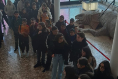 WhatsApp-Image-2026-02-02-at-17.14.11-2