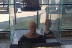 WhatsApp-Image-2026-02-02-at-17.14.11-4