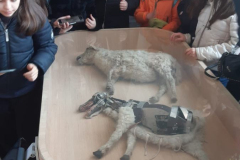 WhatsApp-Image-2026-02-02-at-17.14.11-5