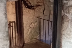 WhatsApp-Image-2026-01-23-at-13.56.18-2